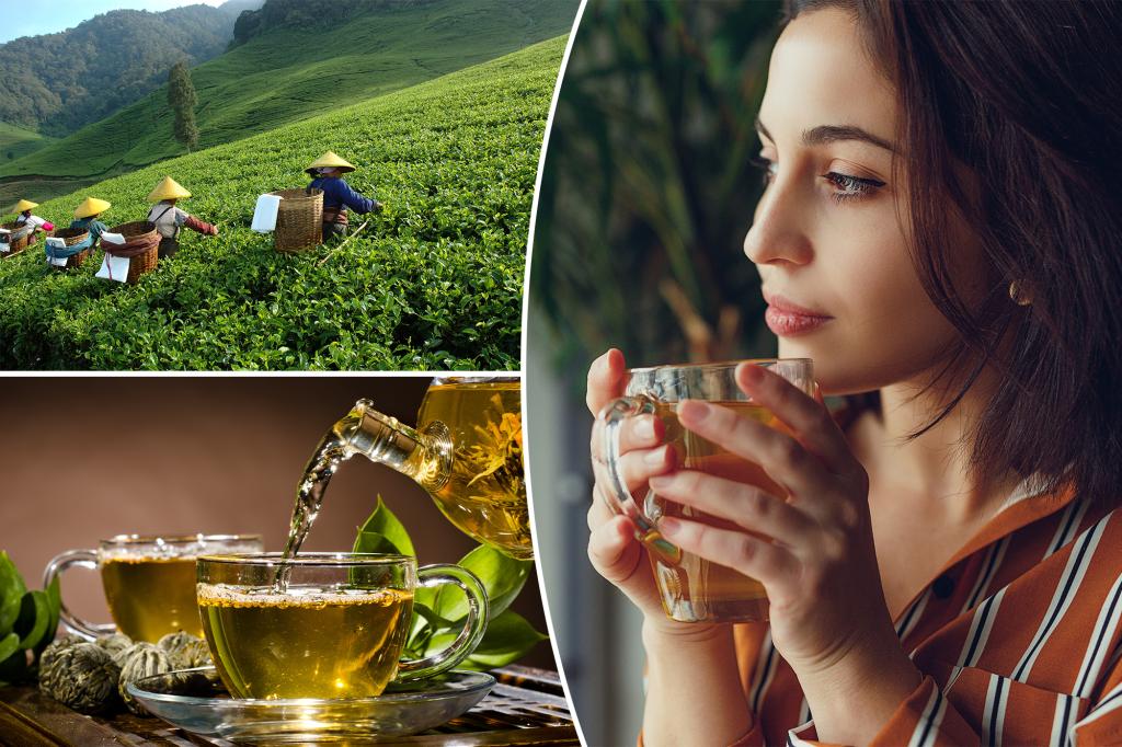 Is green tea really 'nature's ozempic'? What the experts say