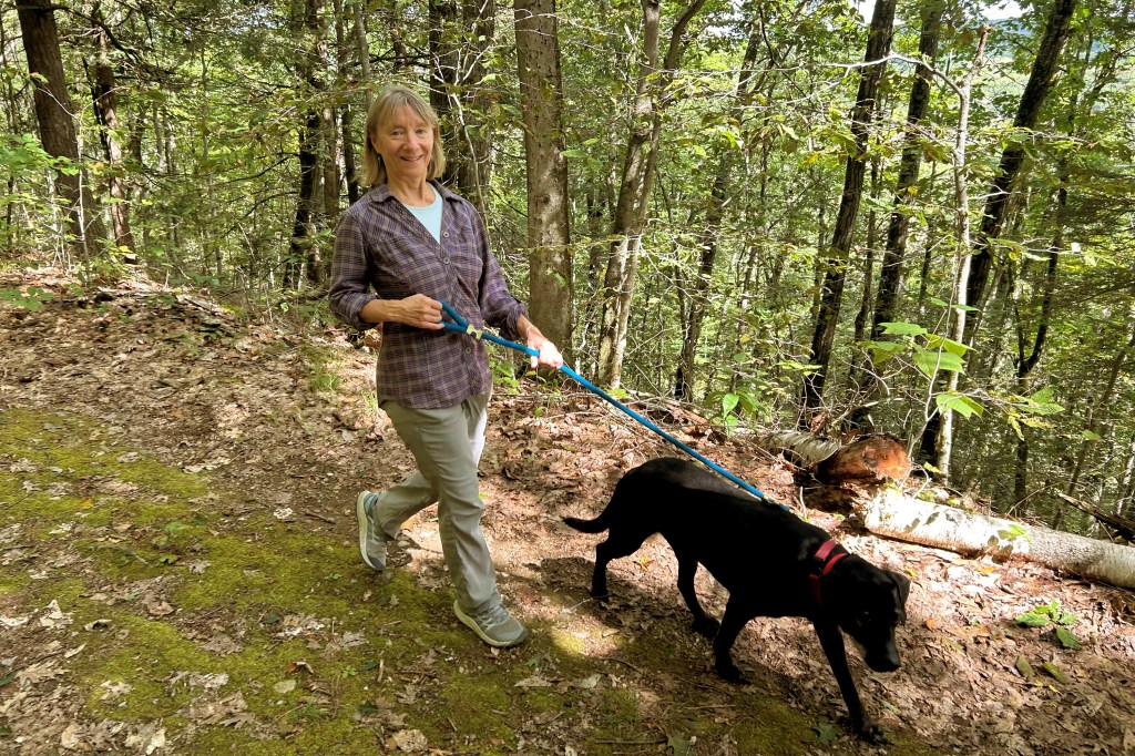 Image of a woman walking a dog. 